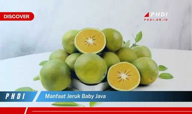 manfaat jeruk baby java