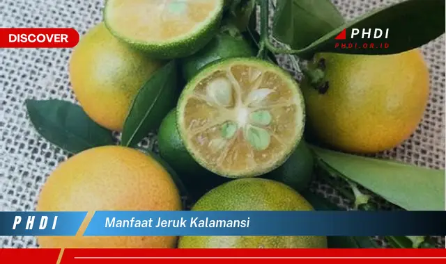 manfaat jeruk kalamansi