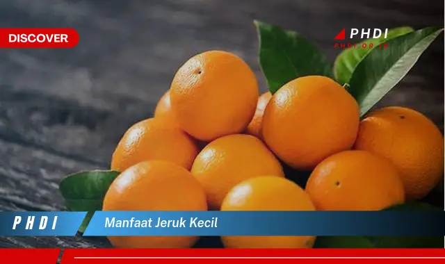 manfaat jeruk kecil