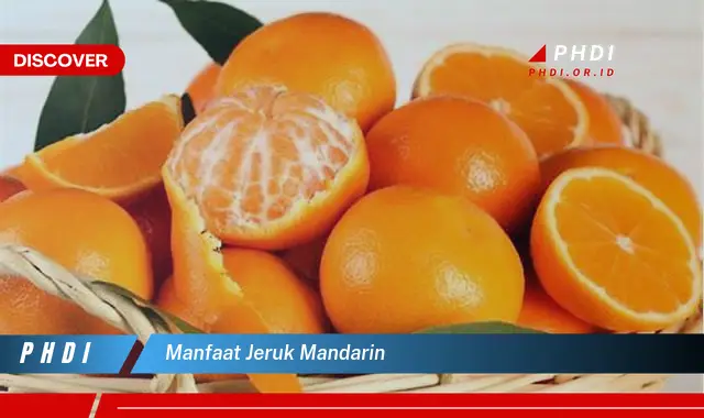 Temukan 7 Manfaat Jeruk Mandarin yang Jarang Diketahui