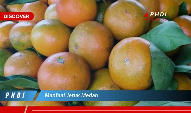 manfaat jeruk medan