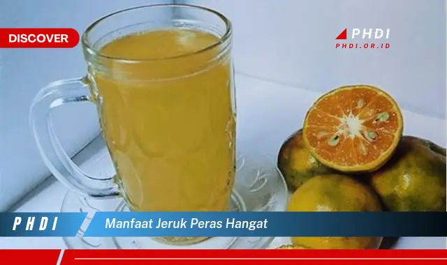 manfaat jeruk peras hangat