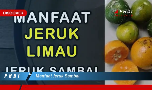 manfaat jeruk sambal