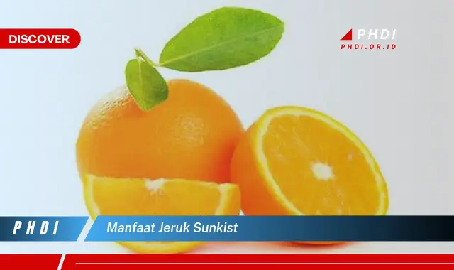 manfaat jeruk sunkist