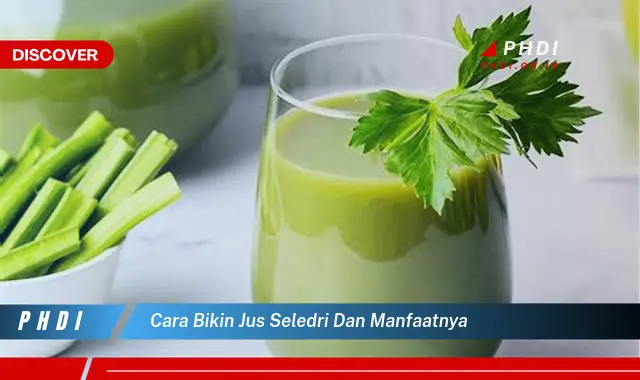 cara bikin jus seledri dan manfaatnya