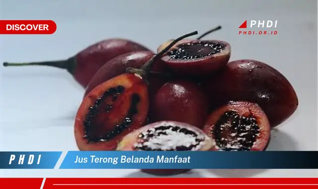 jus terong belanda manfaat