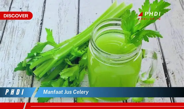 manfaat jus celery