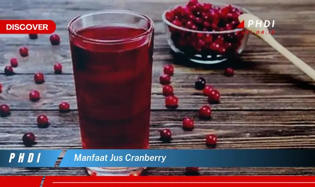 manfaat jus cranberry