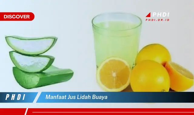 manfaat jus lidah buaya