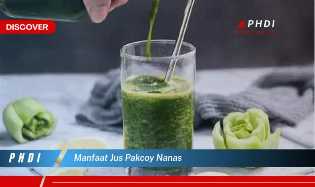 manfaat jus pakcoy nanas