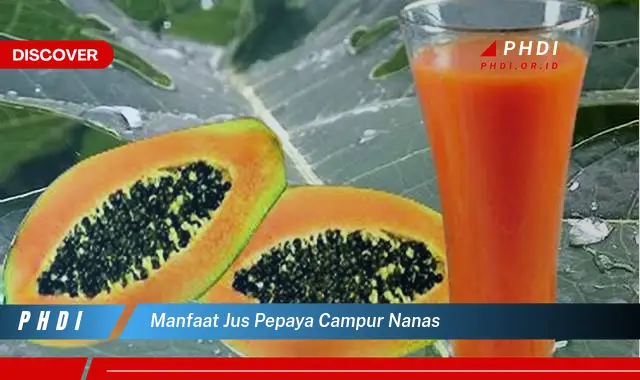 manfaat jus pepaya campur nanas