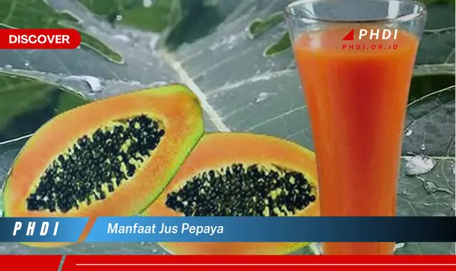 manfaat jus pepaya