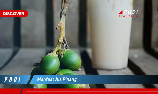 manfaat jus pinang