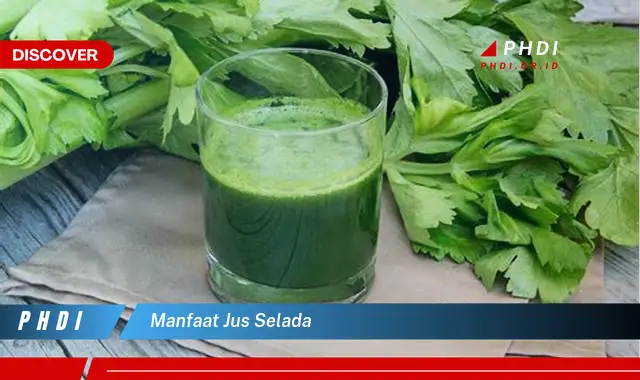 manfaat jus selada