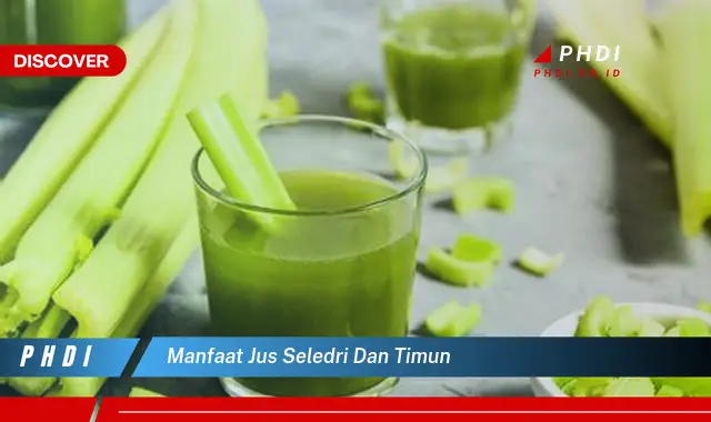 manfaat jus seledri dan timun