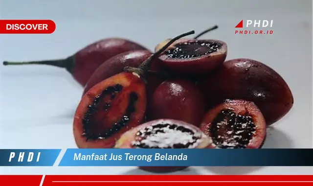 manfaat jus terong belanda