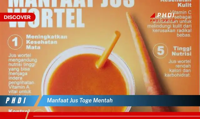 manfaat jus toge mentah