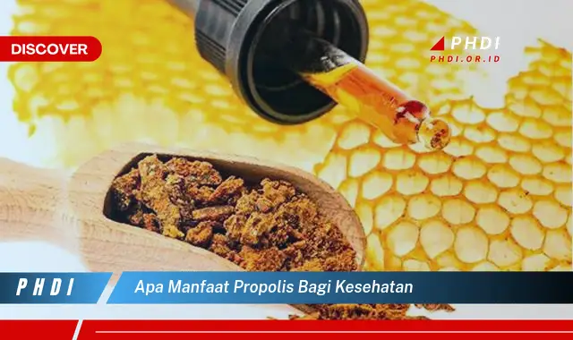 apa manfaat propolis bagi kesehatan