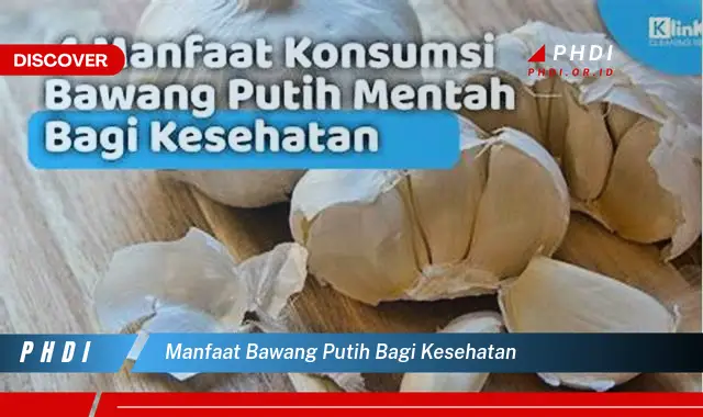 manfaat bawang putih bagi kesehatan