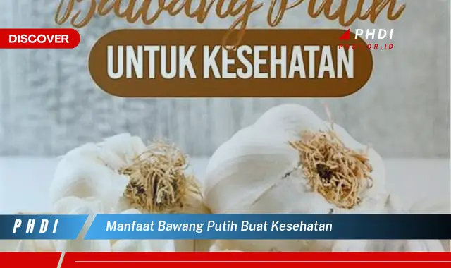 manfaat bawang putih buat kesehatan