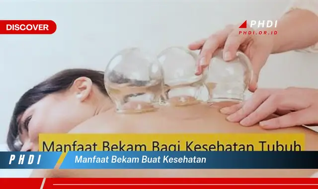 manfaat bekam buat kesehatan