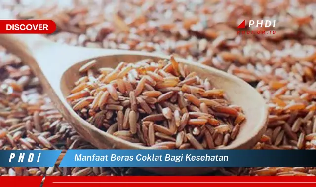 manfaat beras coklat bagi kesehatan