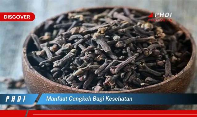 manfaat cengkeh bagi kesehatan