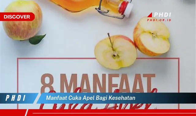 manfaat cuka apel bagi kesehatan