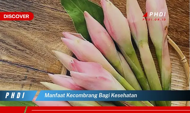 manfaat kecombrang bagi kesehatan