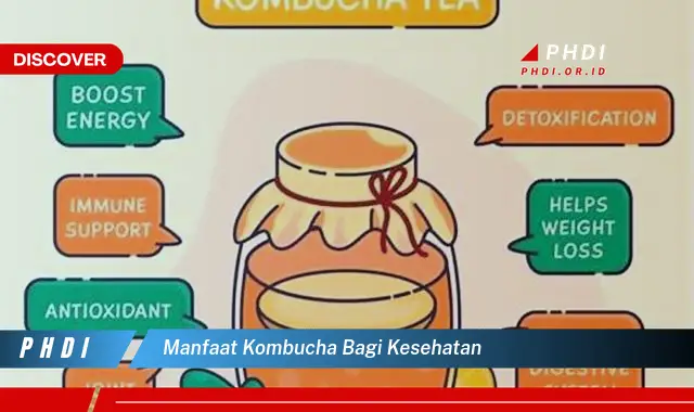 manfaat kombucha bagi kesehatan