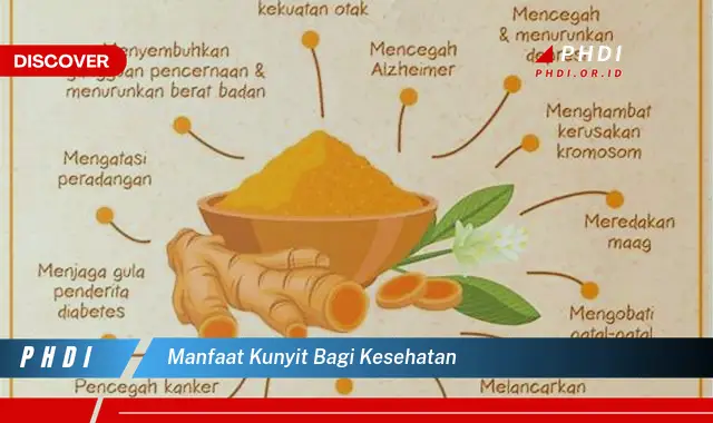 manfaat kunyit bagi kesehatan