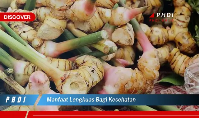 manfaat lengkuas bagi kesehatan