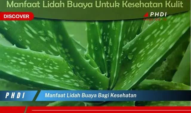 manfaat lidah buaya bagi kesehatan