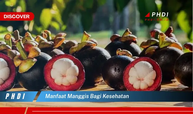 manfaat manggis bagi kesehatan