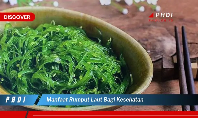 manfaat rumput laut bagi kesehatan