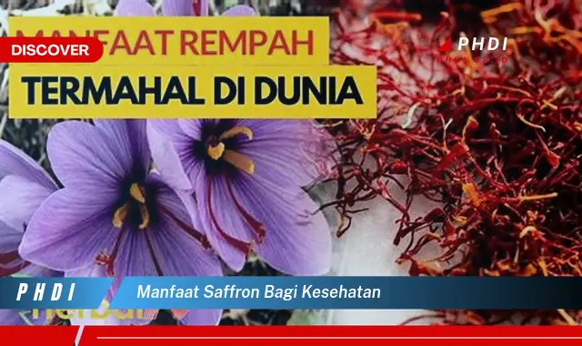 manfaat saffron bagi kesehatan