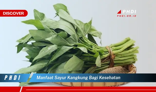 manfaat sayur kangkung bagi kesehatan