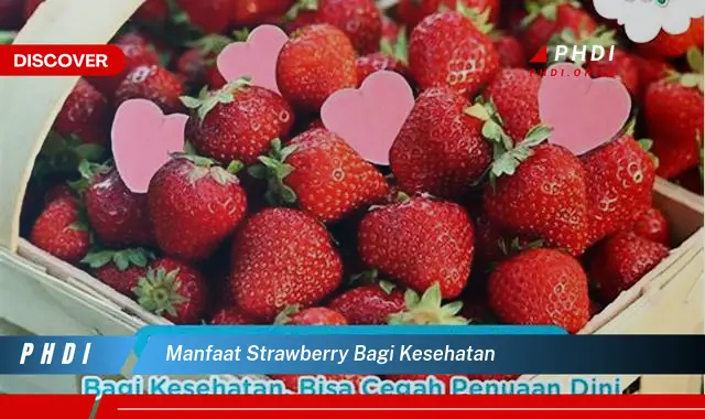 manfaat strawberry bagi kesehatan