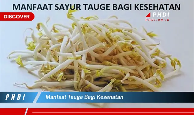 manfaat tauge bagi kesehatan