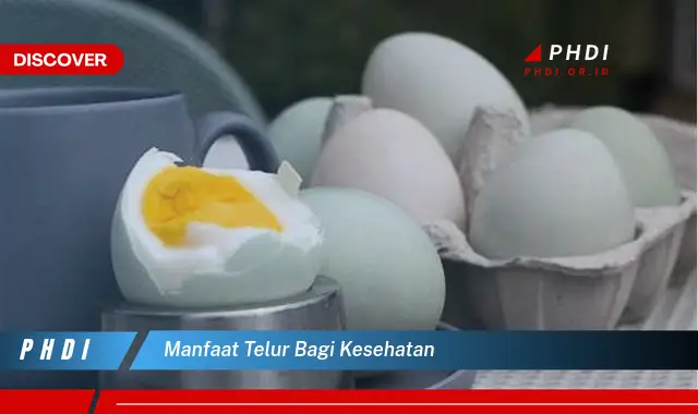 manfaat telur bagi kesehatan