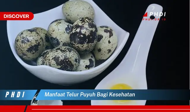 manfaat telur puyuh bagi kesehatan