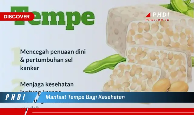 manfaat tempe bagi kesehatan