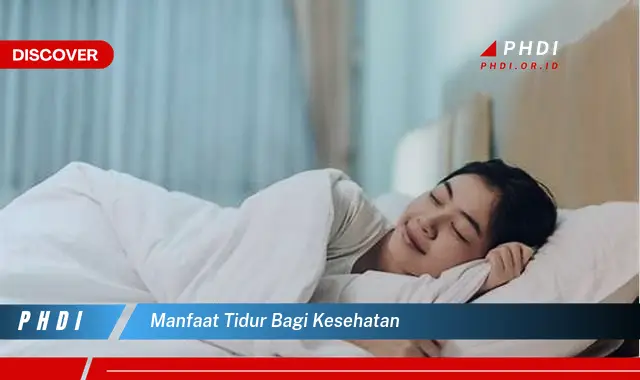 manfaat tidur bagi kesehatan