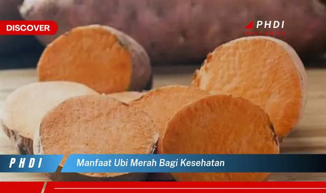 manfaat ubi merah bagi kesehatan