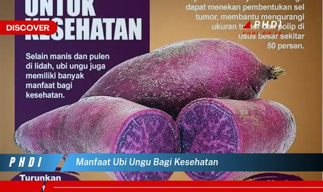 manfaat ubi ungu bagi kesehatan