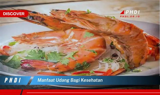 manfaat udang bagi kesehatan