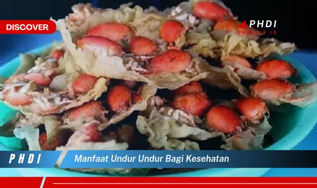 manfaat undur undur bagi kesehatan