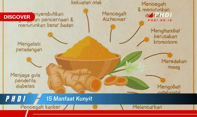 15 manfaat kunyit