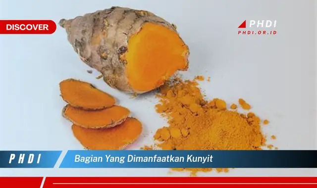 bagian yang dimanfaatkan kunyit