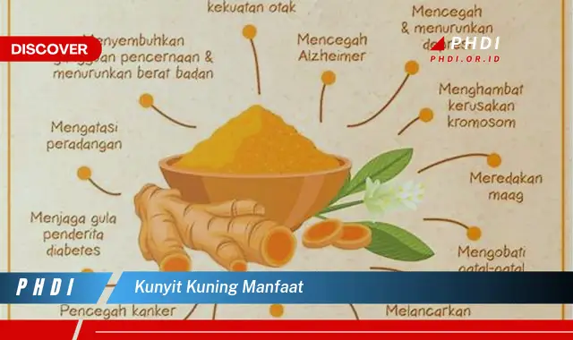 Temukan 7 Manfaat Kunyit Kuning Yang Jarang Diketahui